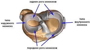 Повреждения коленного сустава