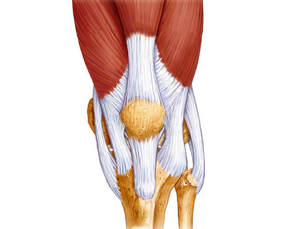 Проблемы с коленным суставом